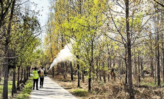 近14万名林长守护河北绿水青山-