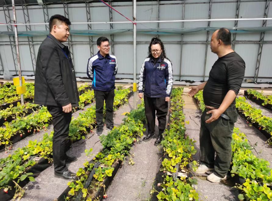 河北正定：村企联建绘就乡村振兴新画卷-新华网河北频道-新华网