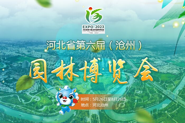 專題｜河北省第六屆（滄州）園林博覽會